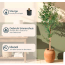 decoratieve-kunstplant-olijfbom-175