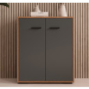 opbergkast-kleur-walnot-ambar-grijs-71-cm-lander-l2