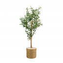 planta-artificial-decorativa-olivo-145